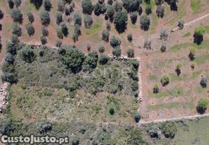 Terreno Rústico Com 1390 M² Na Zona De Lagoão