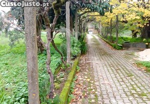 imagem_9