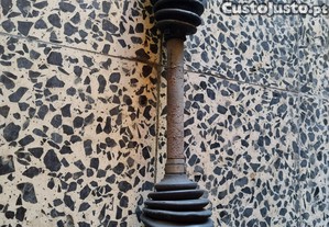 imagem_1