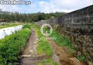 imagem_11