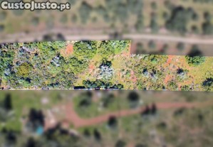Terreno Rústico Com 3 660² Na Franqueira