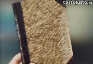 imagem_2