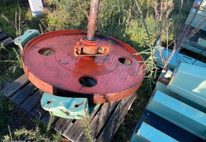 imagem_3
