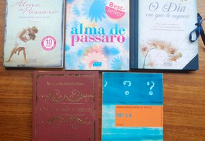 Margarida Rebelo Pinto (Vários Livros)