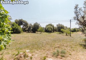 Terreno Para Construção Em Vila Nova-Cantanhede