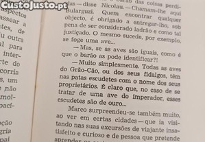 imagem_7