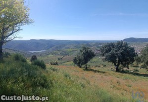 Terreno em Freixo de Espada  Cinta e Mazouco de 49572,00 m