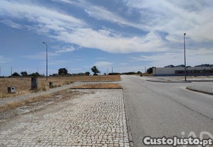 imagem_21