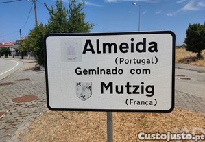 imagem_16