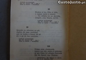 imagem_6