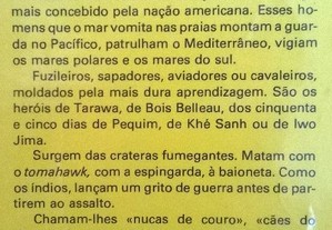 imagem_2