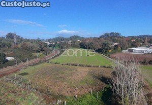 Terreno Rústico Junto Ao Talvaizinho