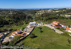 imagem_3
