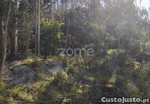 Terreno Rústico Em Arnoso Santa Eulália