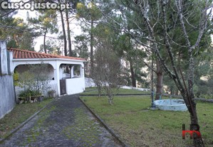 imagem_20