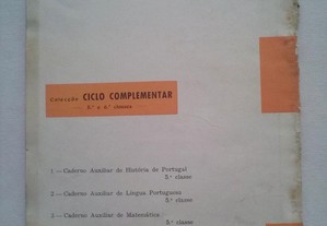 imagem_6