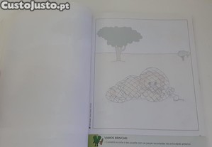imagem_7