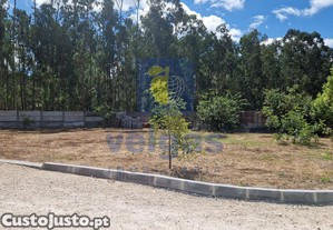 imagem_28