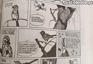 imagem_7