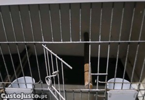 imagem_2