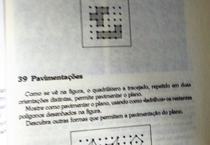 imagem_10