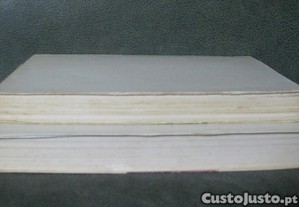 imagem_8