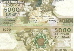 imagem_7