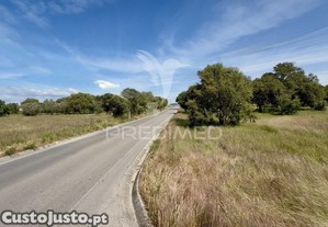 imagem_12