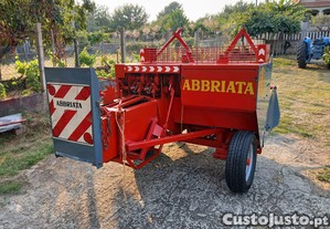imagem_4