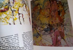 imagem_6