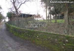 Terreno Rústico Com 2 600 M2 Em Palmeira Santo...