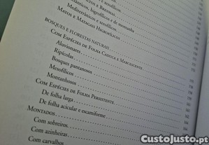 imagem_8