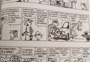 imagem_6