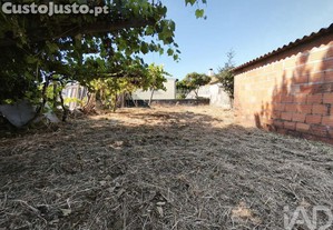 imagem_23
