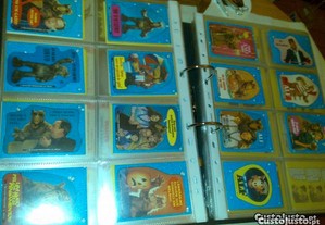 imagem_6