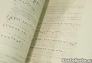 imagem_9