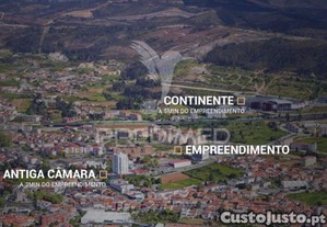 imagem_12