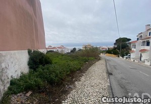 imagem_10