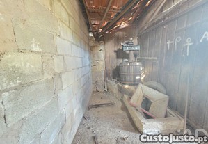imagem_21