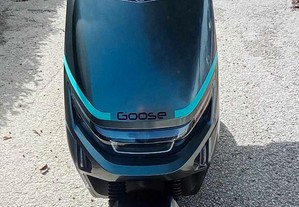 Scooter electrica nova 100% electrica