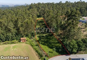 Terreno Urbanizável Em Caldas De São Jorge -...