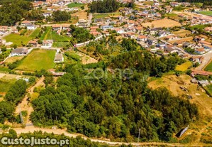 Terreno 9178M² Frente Para Autoestrada A1...