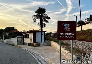 imagem_8
