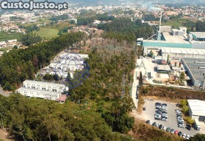 imagem_7