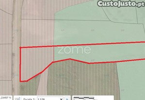 Terreno Com 2912 M2 Em Zona Urbana Para...