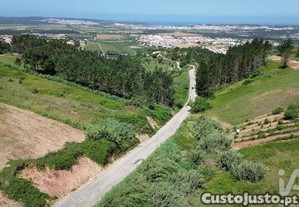 imagem_6