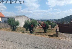 imagem_9