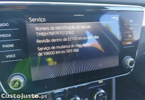 imagem_12