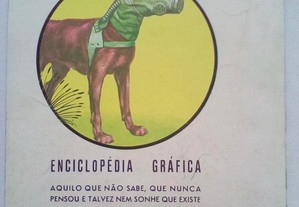 imagem_5