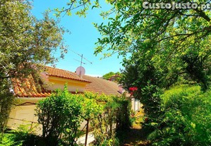 imagem_26
